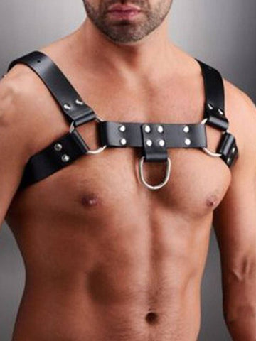  Leather Bull Dog Harness 